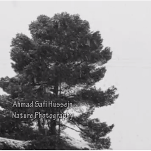 فيديو رائع .. رقصة الثلوج في سماء عمان يوم 12-12-2013