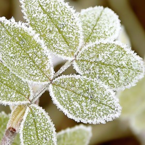 موجة باردة تؤثر على السعودية والحرارة تقترب من الصفر المئوي ليلا