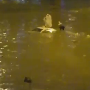 أمطار الرياض تُجبر السائقين على اعتلاء أسقف المركبات 