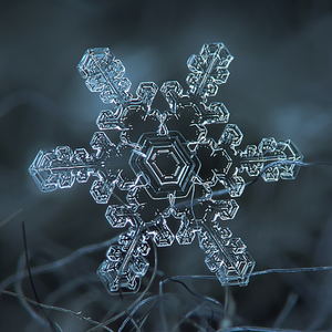 بالفيديو: فوضى عارمة تسود المشاعر المُقدسة عقب امطار الأربعاء