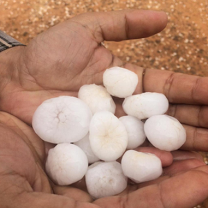 عاصفة بردية تحول أرض طبرجل إلى اللون الأبيض