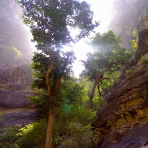 وادي لجب بجازان..أرض الجمال والغامرات 