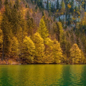 بالصور: جمال الخريف حول العالم 