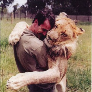 عناق الأصدقاء بين لبؤة وإنسان