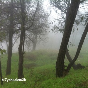 بالصور: هذه ليست سويسرا .. انها مرتفعات الباحة "جنة الله في أرضه" 