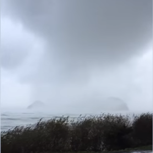 أمريكا.. إعصار نادر يجتاح ولاية أوريجون 