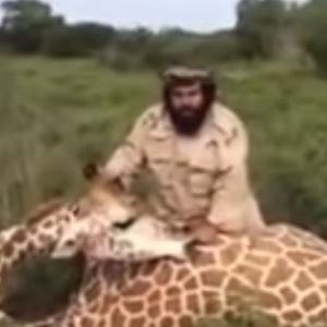 سعودي بالزي العسكري يصطاد زرافة ضخمة