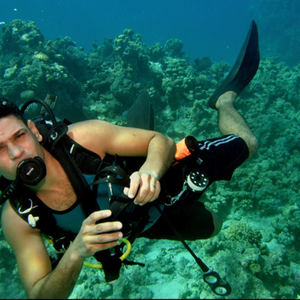 باسم سعيد مصطفي