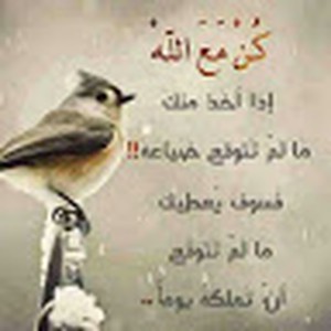 mossa
