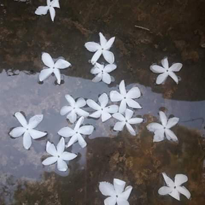 محمد عبد الرزاق