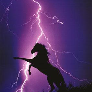 عاشق المطر998