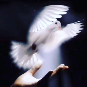 ابوعبدالملك🙂