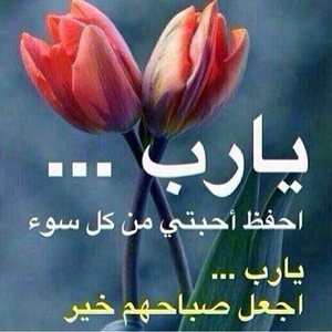 محمد ابورقيق 