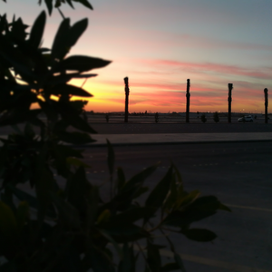 عبدالله بن فهد بن عبدالعزيز