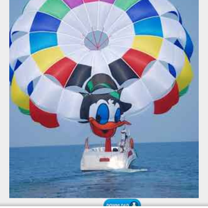 نضال  ابراهيم