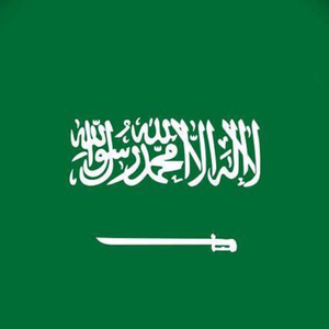 🇸🇦