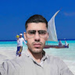 بكر محسن محمد