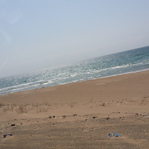 عبدالرحمن الحتريش