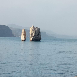 عبدالحفيظ أبو معاد 