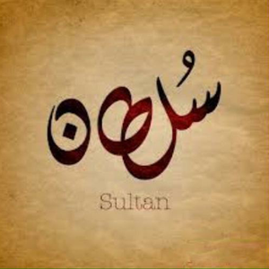 عاطف محمد السيد سلطان