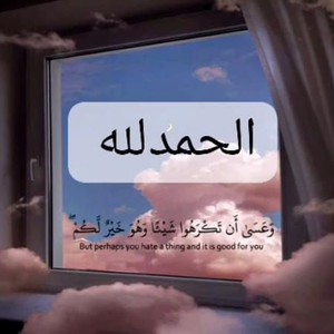 پاشایەکی