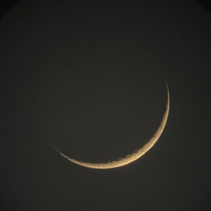 عبدالرحمن 