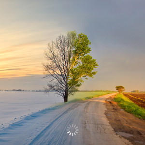 عيون الجواء