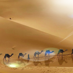 ابوعبدالمجيد