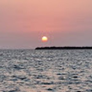 محمد