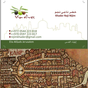 خضر ناجي نجم / درب الزيتون مرشد سياحي*5dr 