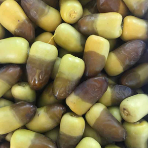 الشميسي ابوعمر