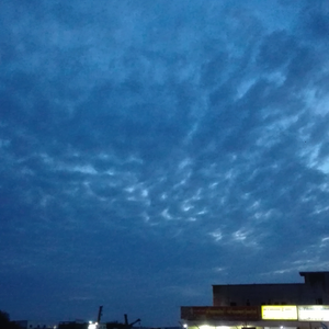 أبو عبدالعزيز