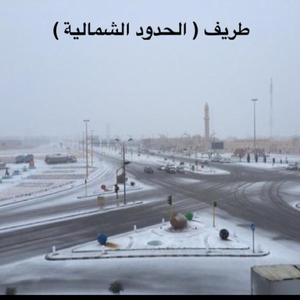 راصد
