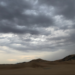 محمد الحربي