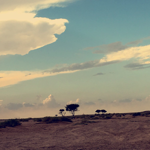 الرهــــــ راصد صبيح ـــاوي