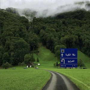 بنت النشام 