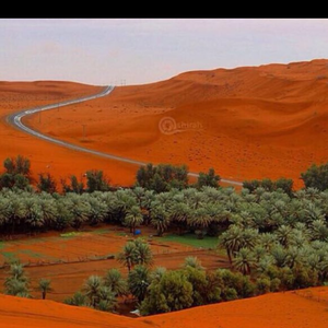 ‏༼࿄ཽ༽༼ لااله الا الله ༽༼࿄ཽ༽ ابومحمد