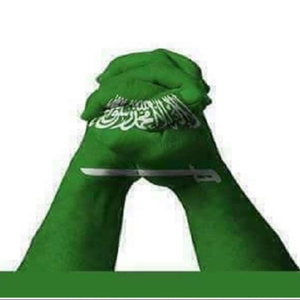 مجموعة انسان 