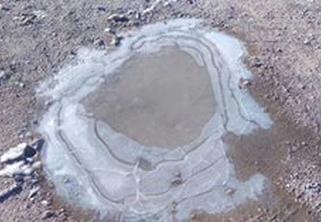 بالصور: تشكل الصقيع في مناطق مختلفة من المملكة