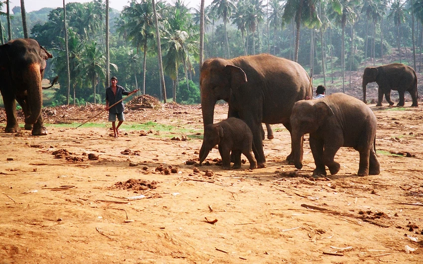 28 photos du Sri Lanka qui donnent envie d&#39;y aller