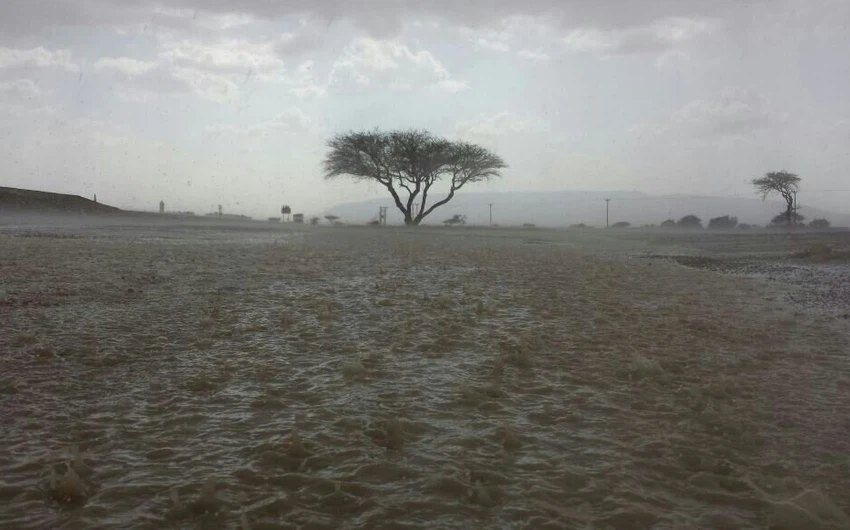الأمطار في أم غافة بمدينة العين