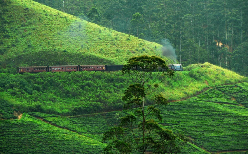28 photos from Sri Lanka that make you want to visit