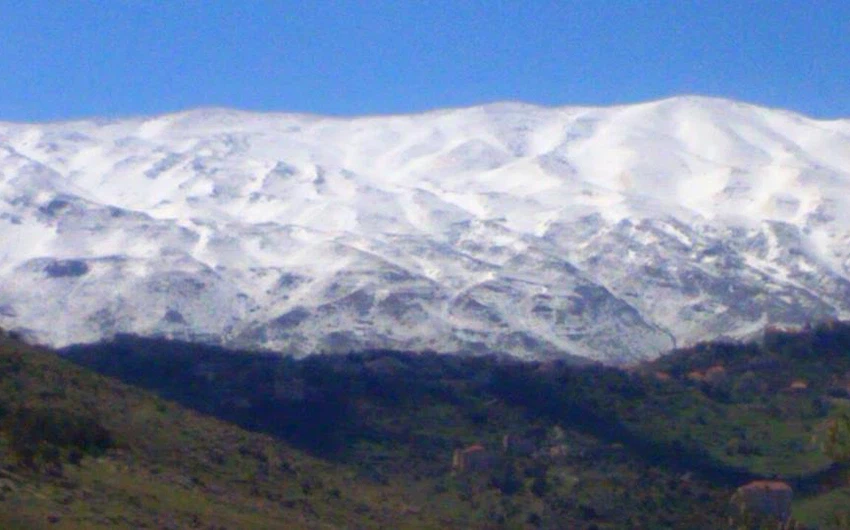 جبل الشيخ 