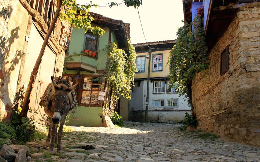 Cumalıkızık .. un pur village ottoman en Türkiye