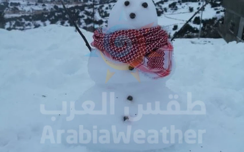 Pictures || This is how some people expressed their joy in snow making Snowman