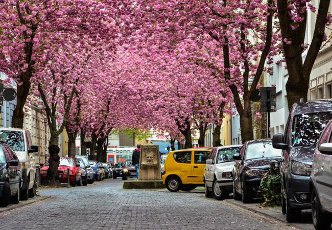 تفاصيل جامعة بون في المانيا 2021 Studyshoot