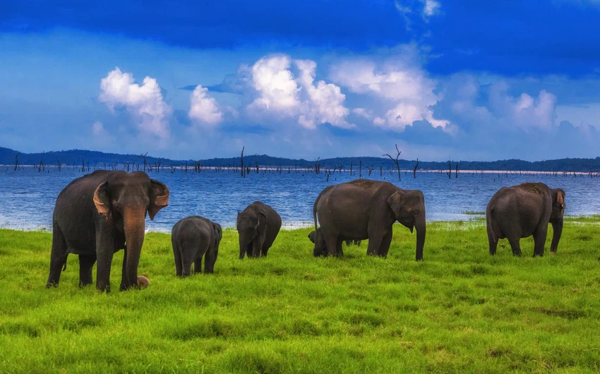 28 photos from Sri Lanka that make you want to visit
