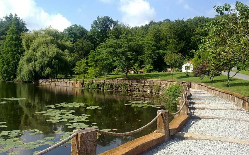 غابة أتاتورك.. واحات اسطنبول الخضراء | طقس العرب | طقس العرب