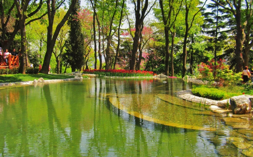 La forêt d&#39;Ataturk.. Les oasis vertes d&#39;Istanbul