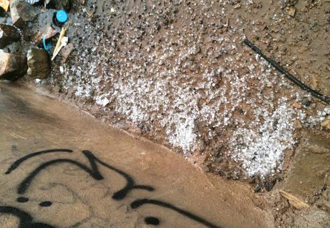 بالصور أمطار وزخات برد تعم أجزاء من المدينة المنورة الخميس طقس العرب